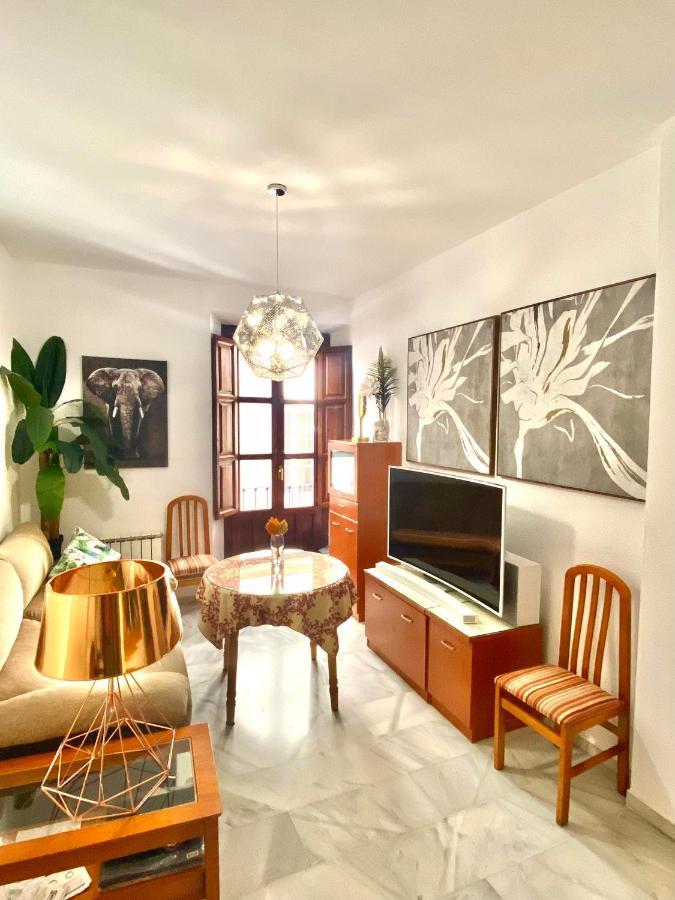 Bonito Y Acogedor Apartamento Pleno Centro Junto Catedral Гранада Екстериор снимка